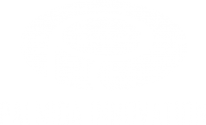 Palmiga Innovation Logo white - palmiga.com
