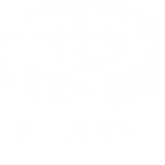 Palmiga Innovation Logo white - rubber3dprinting.com - palmiga.com